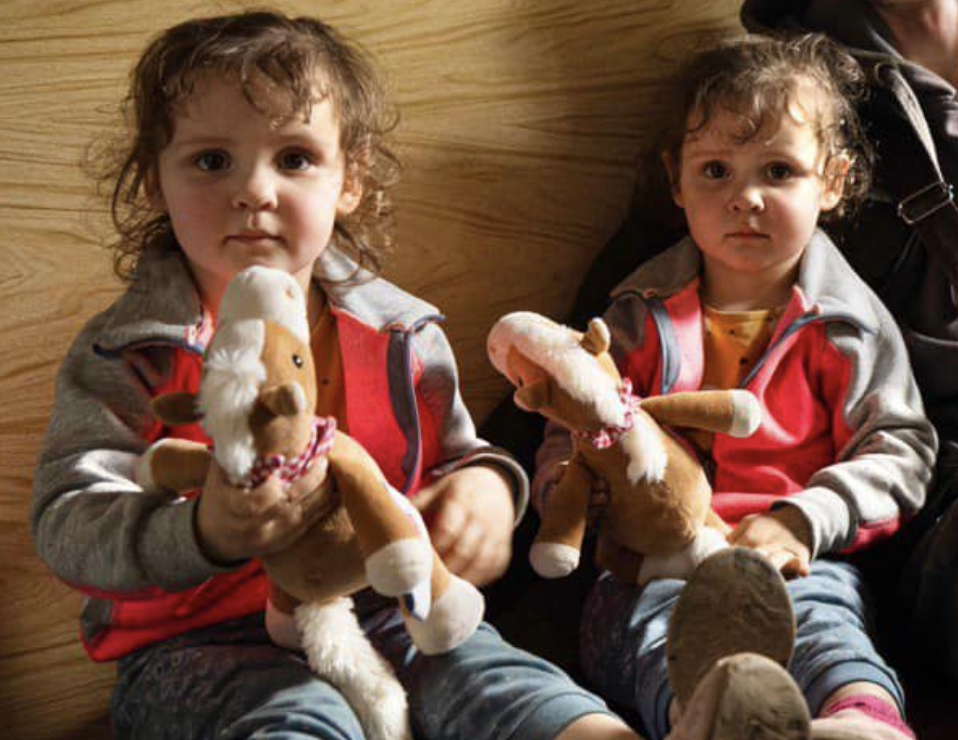 screen shot 2022 06 26 at 11.46.25 am