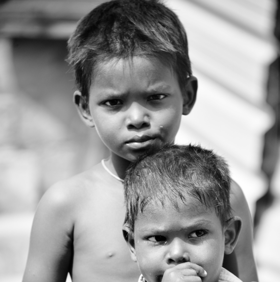 screen shot 2023 07 28 at 1.33.29 pm