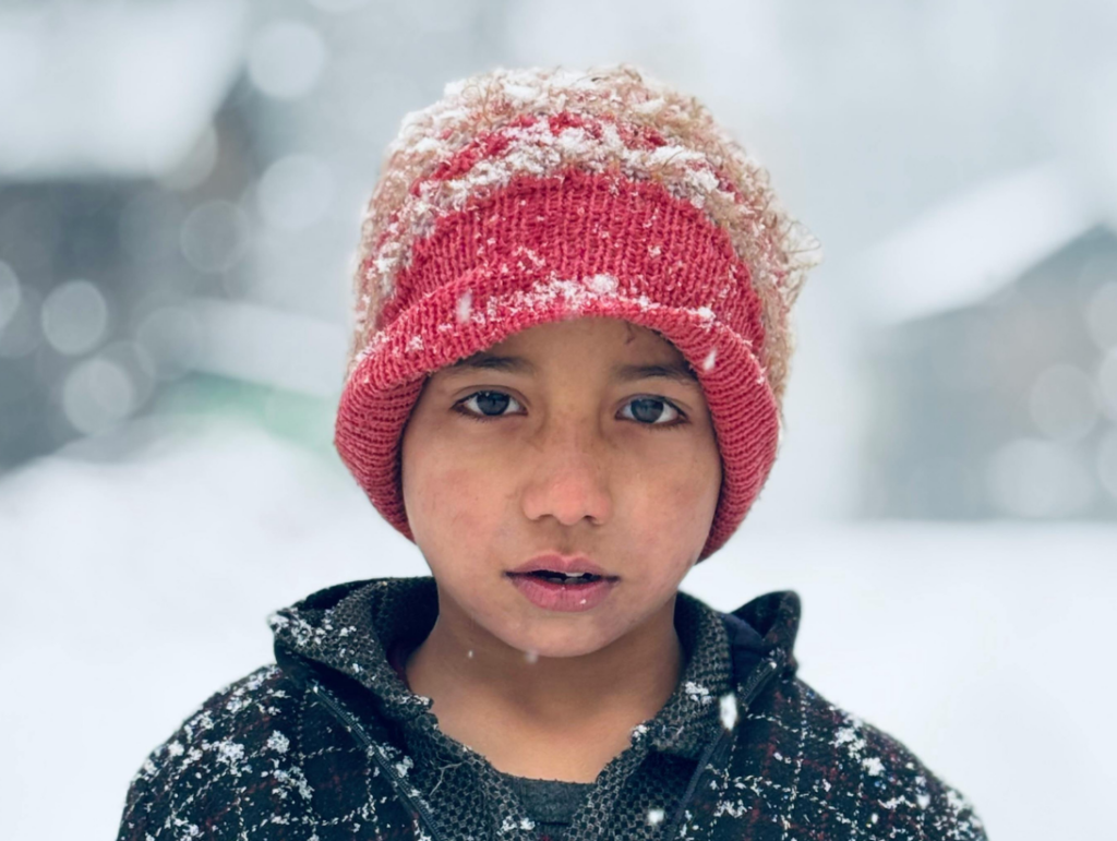 photos + graphics (8)